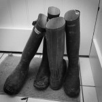 Well Loved Wellies