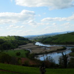 Meandering River Dart